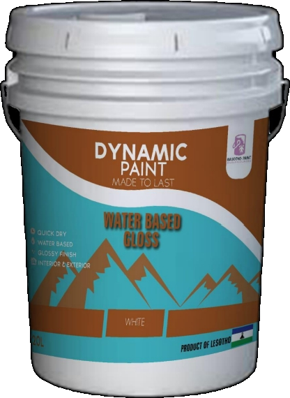 Dynamic Paint Water-based Gloss (High Sheen) Paint 20L bucket